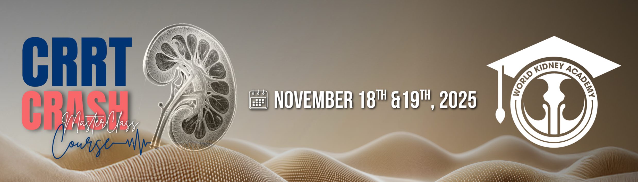 ccn header-02